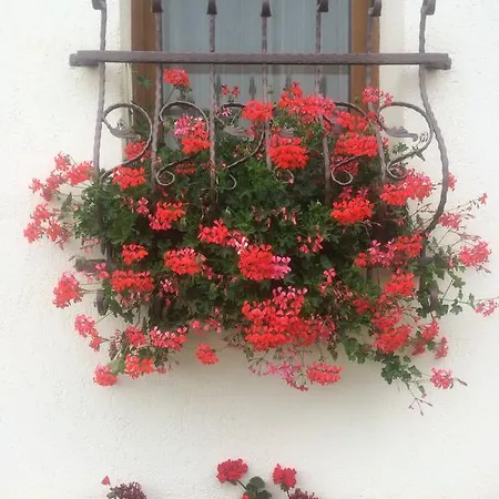 Casa Lecca Guest house Sibiu