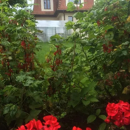 Casa Lecca Guest house Sibiu