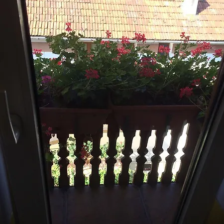 Guest house Casa Lecca