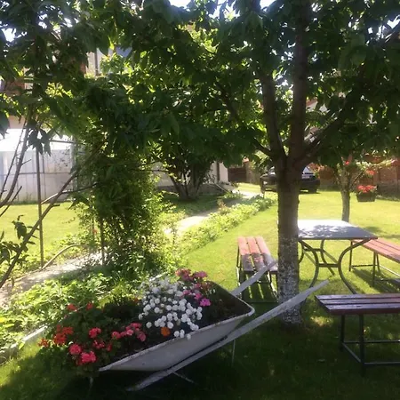 Casa Lecca Guest house Sibiu