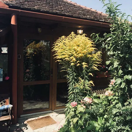 Guest house Casa Lecca *