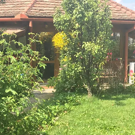 Casa Lecca Guest house *